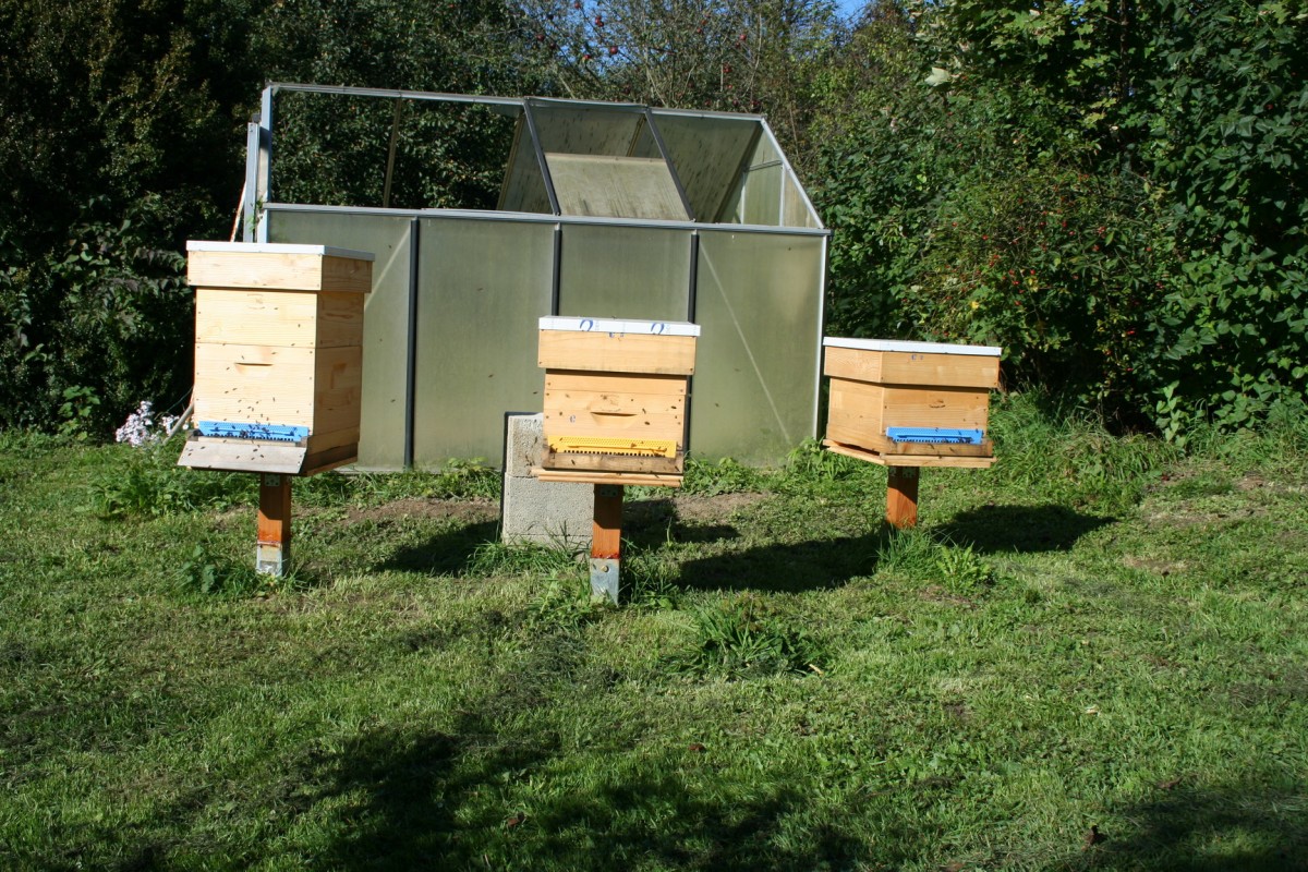 Bienenstöcke