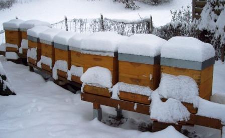 Bienenbeuten im Schnee