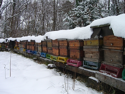 Bienenstand im Winter