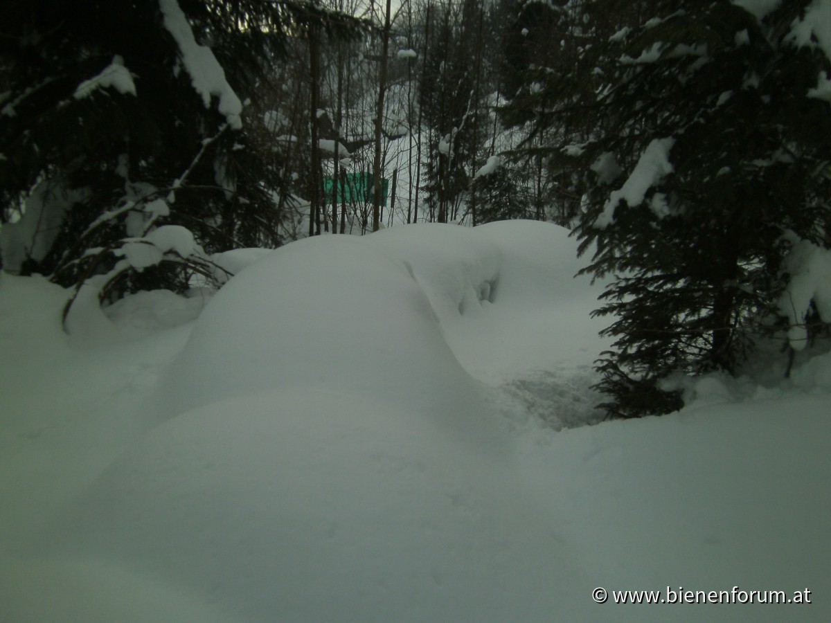 Winterimpressionen