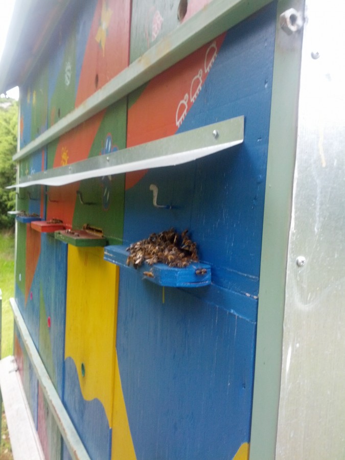 Bienenwagen aus Kroatien