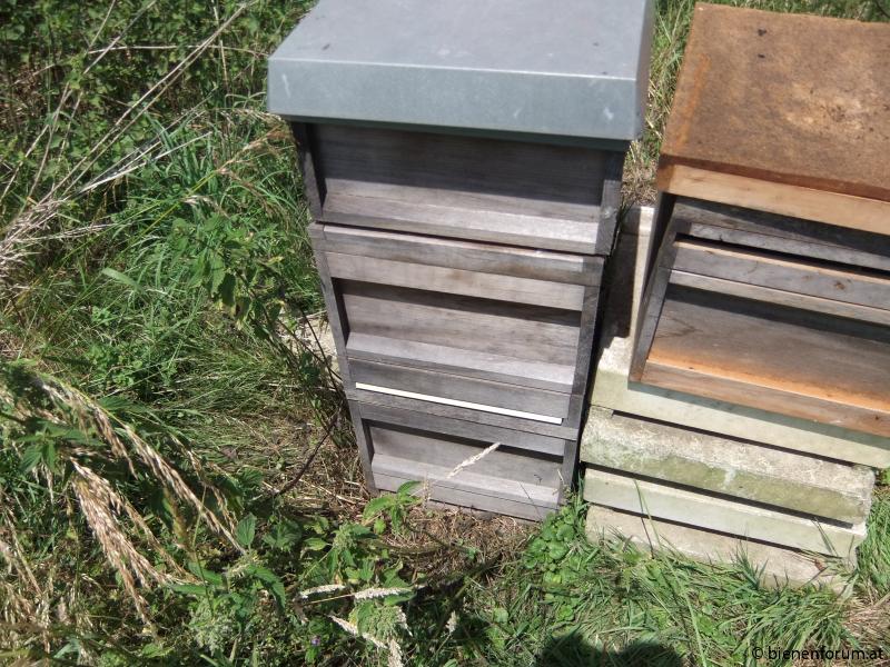 Bienenkiste 1